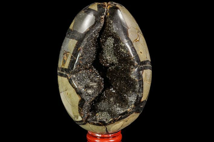 Septarian Dragon Egg Geode - Black Crystals #109970